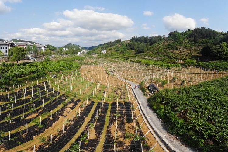 黨的十八大以來習近平總書記考察調(diào)研過的貧困村脫貧調(diào)查