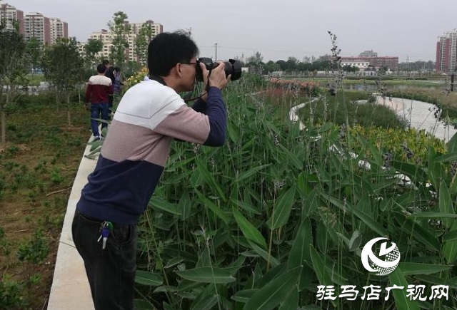 美麗鄉(xiāng)村新風貌 創(chuàng)作采風收獲多