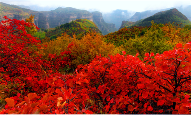 觀秋景、品秋味，多彩太行給你滿目的秋日驚喜！