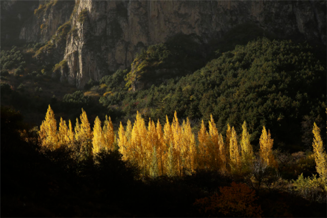 觀秋景、品秋味，多彩太行給你滿目的秋日驚喜！