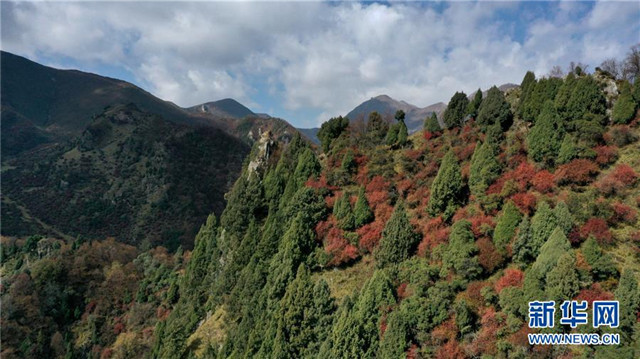 青海海東:地質(zhì)公園秋色美