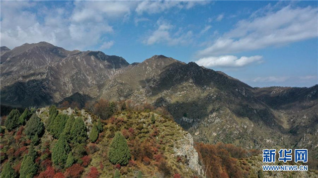 青海海東:地質(zhì)公園秋色美
