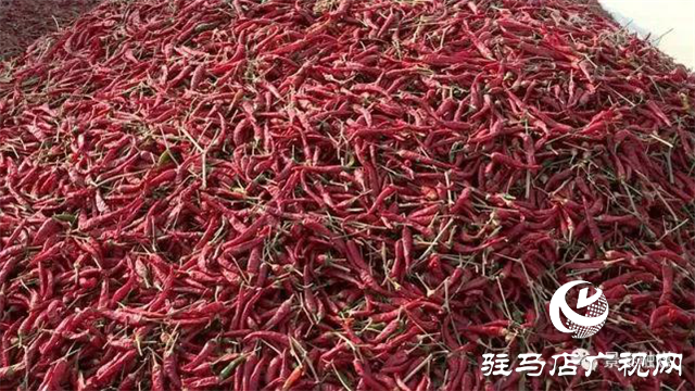 攜手北沃 見證豐收 ——北沃高鈣肥再顯神威，表現(xiàn)驚艷眾人！