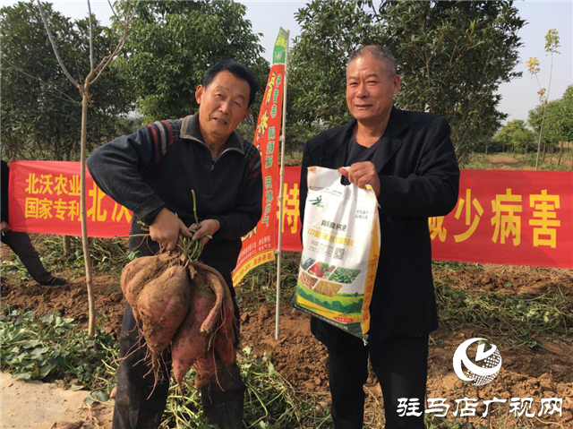 攜手北沃 見證豐收 ——北沃高鈣肥再顯神威，表現(xiàn)驚艷眾人！