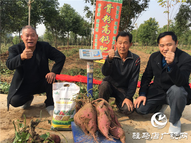 攜手北沃 見證豐收 ——北沃高鈣肥再顯神威，表現(xiàn)驚艷眾人！