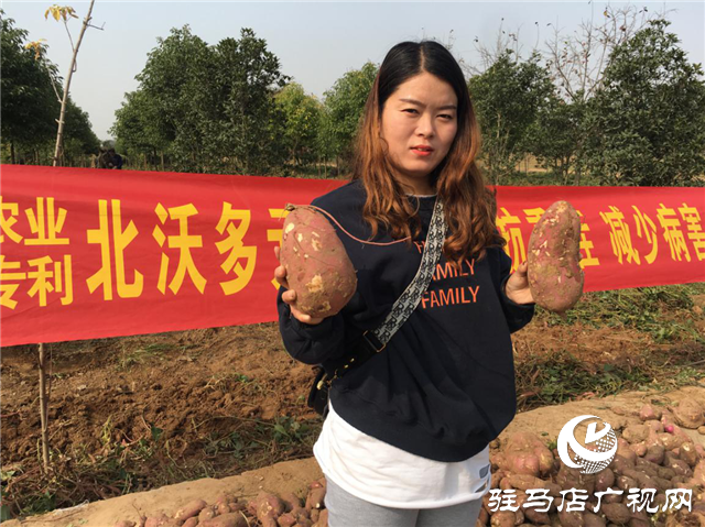 攜手北沃 見證豐收 ——北沃高鈣肥再顯神威，表現(xiàn)驚艷眾人！