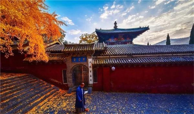 “古剎秋景惹人醉，金色滿園迎賓朋”——嵩山少林寺千年銀杏已到了一年之中最美時節(jié)！