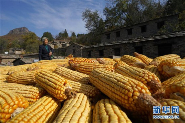 茶舊溝村:傳統(tǒng)村落古韻來