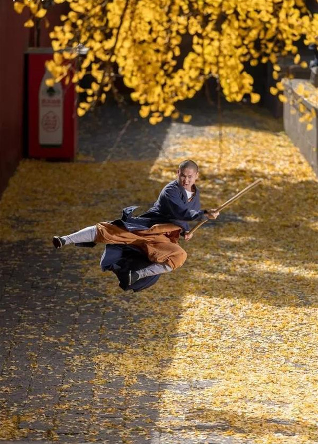 震撼！千年銀杏邂逅少林功夫！