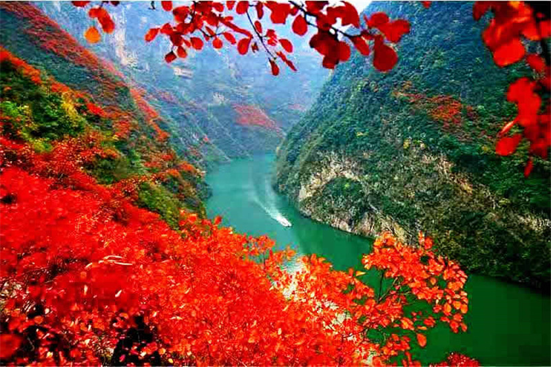 正是老家好時節(jié)，醉美河南惹人來