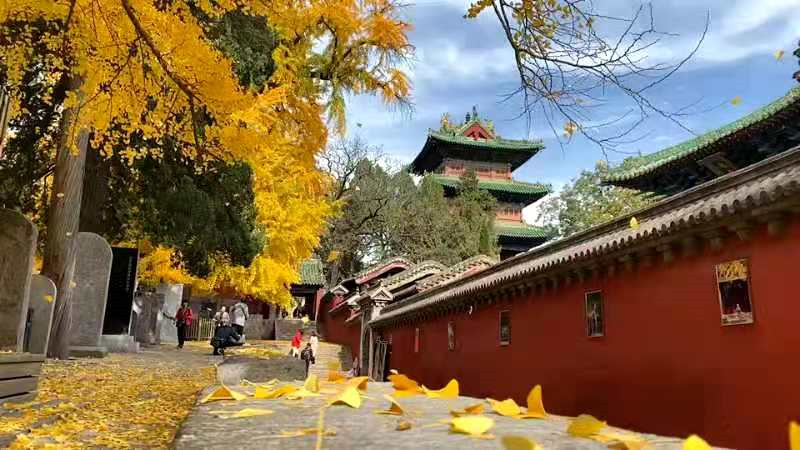 正是老家好時節(jié)，醉美河南惹人來