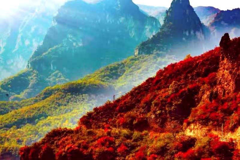 正是老家好時節(jié)，醉美河南惹人來