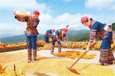 云南雙柏:科技助農(nóng)民增收