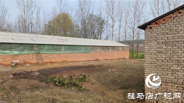 重獲“新生”，泌陽縣下碑寺鄉(xiāng)曹莊村貧困戶養(yǎng)豬走出致富路