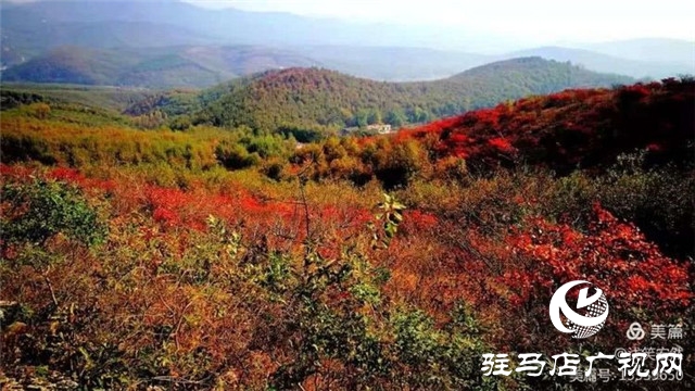 美哭了！那個被河南艾森集團喚醒的黃石頭莊邀你回歸心靈的寧靜