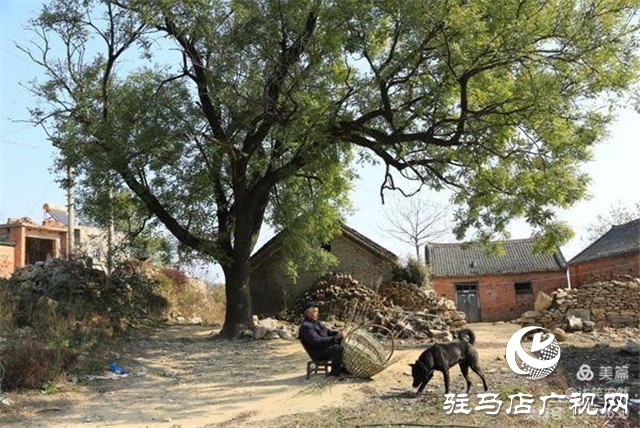 美哭了！那個被河南艾森集團喚醒的黃石頭莊邀你回歸心靈的寧靜