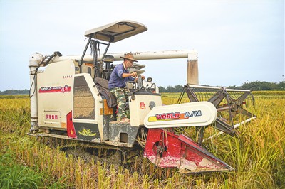 中國(guó)糧食生產(chǎn)&ldquo;十七連豐&rdquo;
