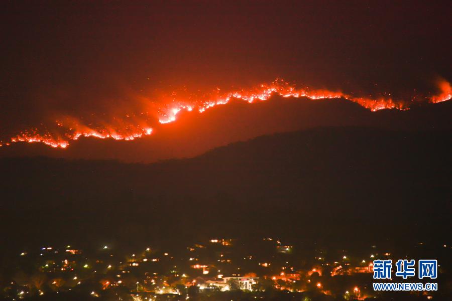 疫亂交織 正道致遠——回眸2020年的世界