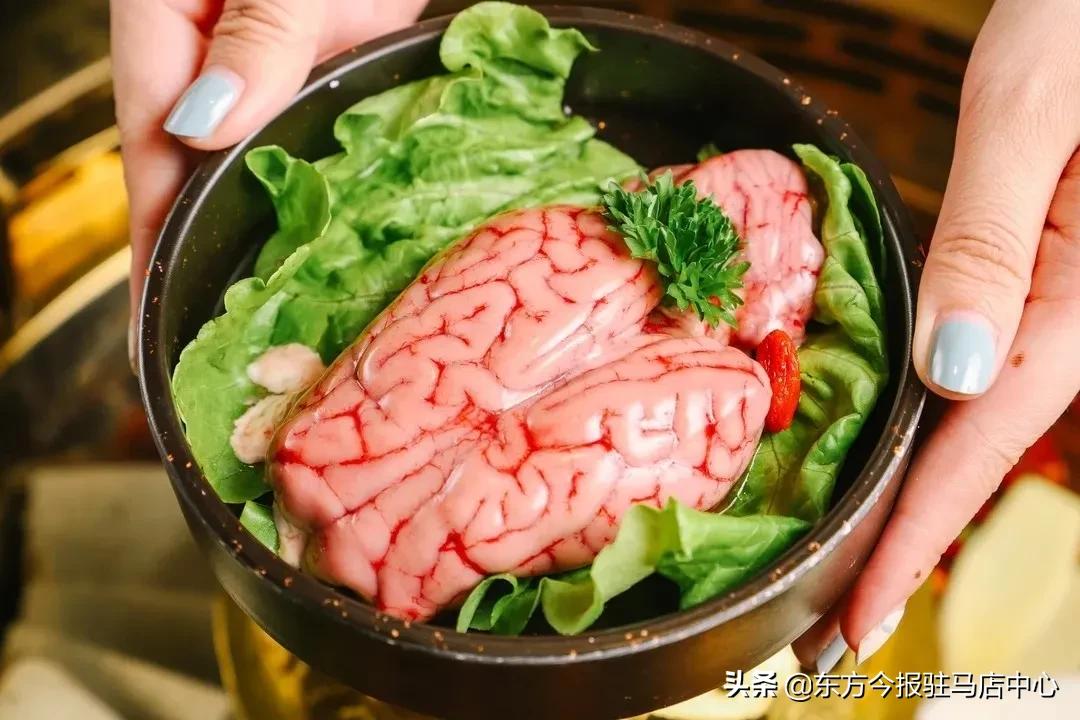 元旦盛大試營(yíng)業(yè)！鄭凱的火鳳祥鮮貨火鍋來駐馬店啦！邀您來嘗鮮！