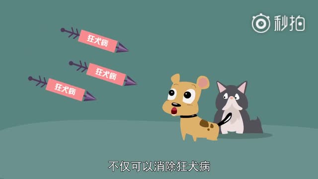 狂犬病有多狂？