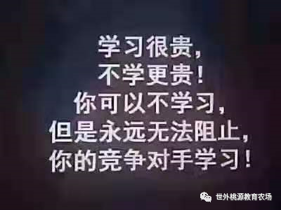 重大福利！ 點(diǎn)點(diǎn)英語入駐駐馬店了！