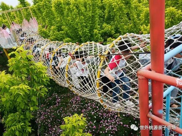 寒假運(yùn)動(dòng)休閑哪里好？——到世外桃源享受冬日暖陽
