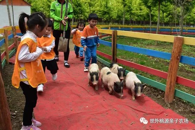 寒假運(yùn)動(dòng)休閑哪里好？——到世外桃源享受冬日暖陽