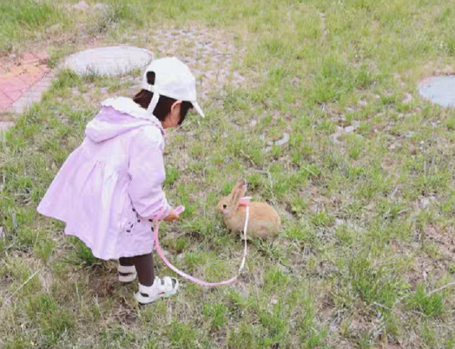 今年春節(jié)親子游都去的打卡地！門票免費(fèi)送！