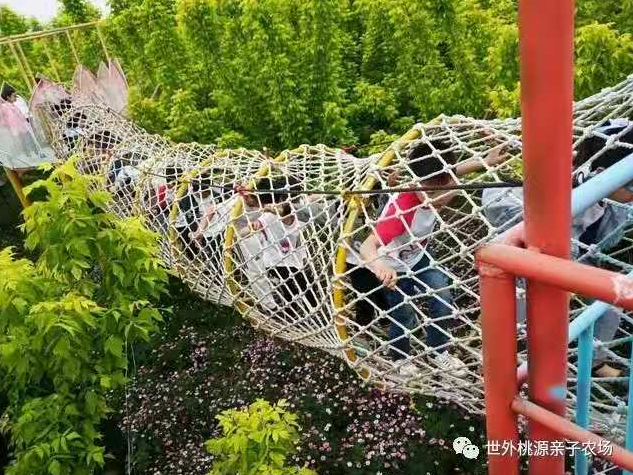今年春節(jié)親子游都去的打卡地！門票免費(fèi)送！
