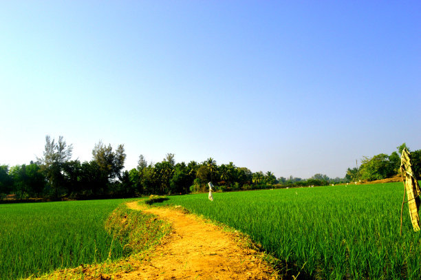 春節(jié)長假后首日上班 如何調(diào)出好狀態(tài)？