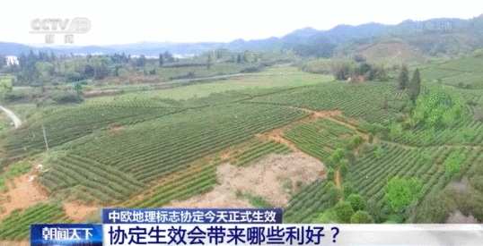 中歐地理標(biāo)志協(xié)定今天正式生效 將帶來哪些利好？