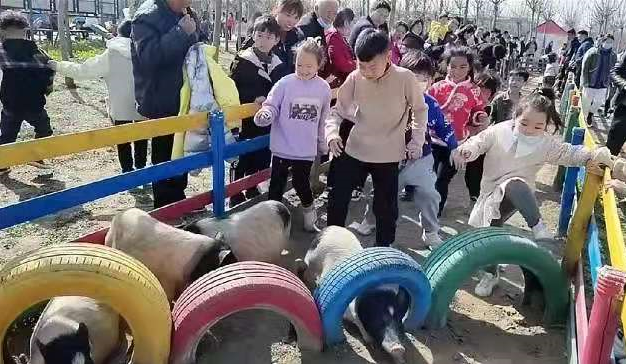 “播種希望·擁抱未來”植樹節(jié)戶外體驗活動開始啦！