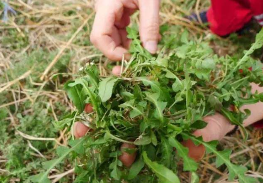 “播種希望·擁抱未來”植樹節(jié)戶外體驗活動開始啦！