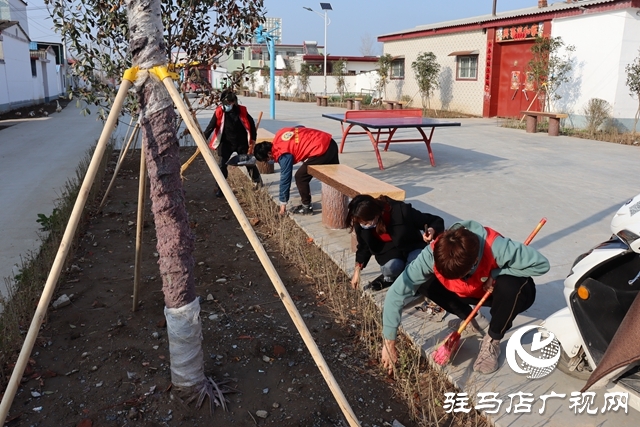 確山縣三里河街道老臧莊社區(qū)成立鄉(xiāng)村振興返鄉(xiāng)大學(xué)生志愿者服務(wù)團(tuán)