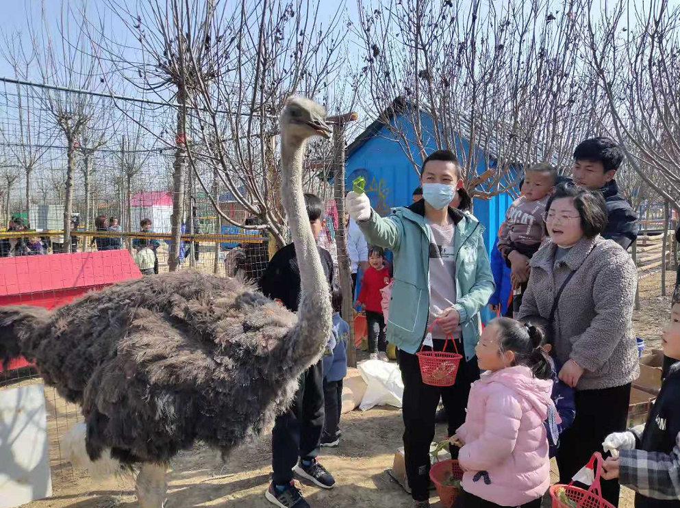 婦女節(jié)，現(xiàn)在被稱為女王節(jié)、女神節(jié)