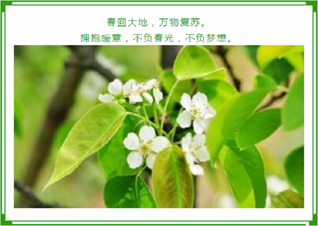 2021親子游開(kāi)始啦！世外桃源教育農(nóng)場(chǎng)的春游，你值得參與！