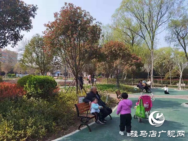 駐馬店:陽(yáng)春三月至 花開(kāi)春意濃