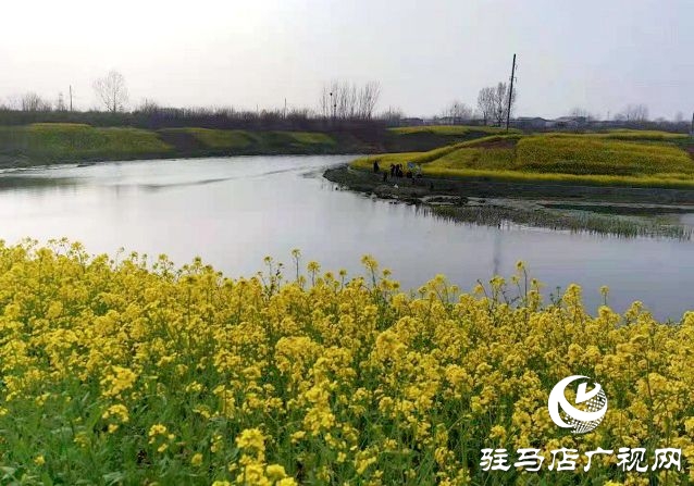 駐馬店:陽(yáng)春三月至 花開(kāi)春意濃