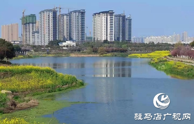 駐馬店:陽(yáng)春三月至 花開(kāi)春意濃