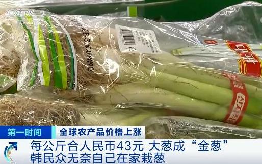 國(guó)際糧價(jià)暴漲，會(huì)影響中國(guó)人的“飯碗”嗎？