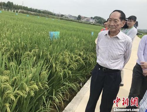 國(guó)際糧價(jià)暴漲，會(huì)影響中國(guó)人的“飯碗”嗎？