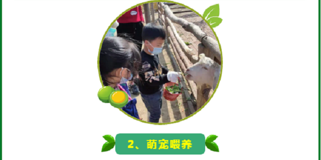 門票免費(fèi)送！清明小假期就來世外桃源親子農(nóng)場(chǎng)！