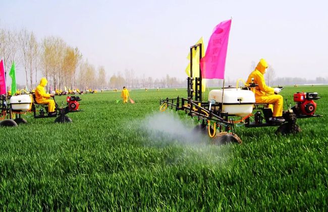 “雨神”駕到 拉響小麥赤霉病、條銹病防控警報