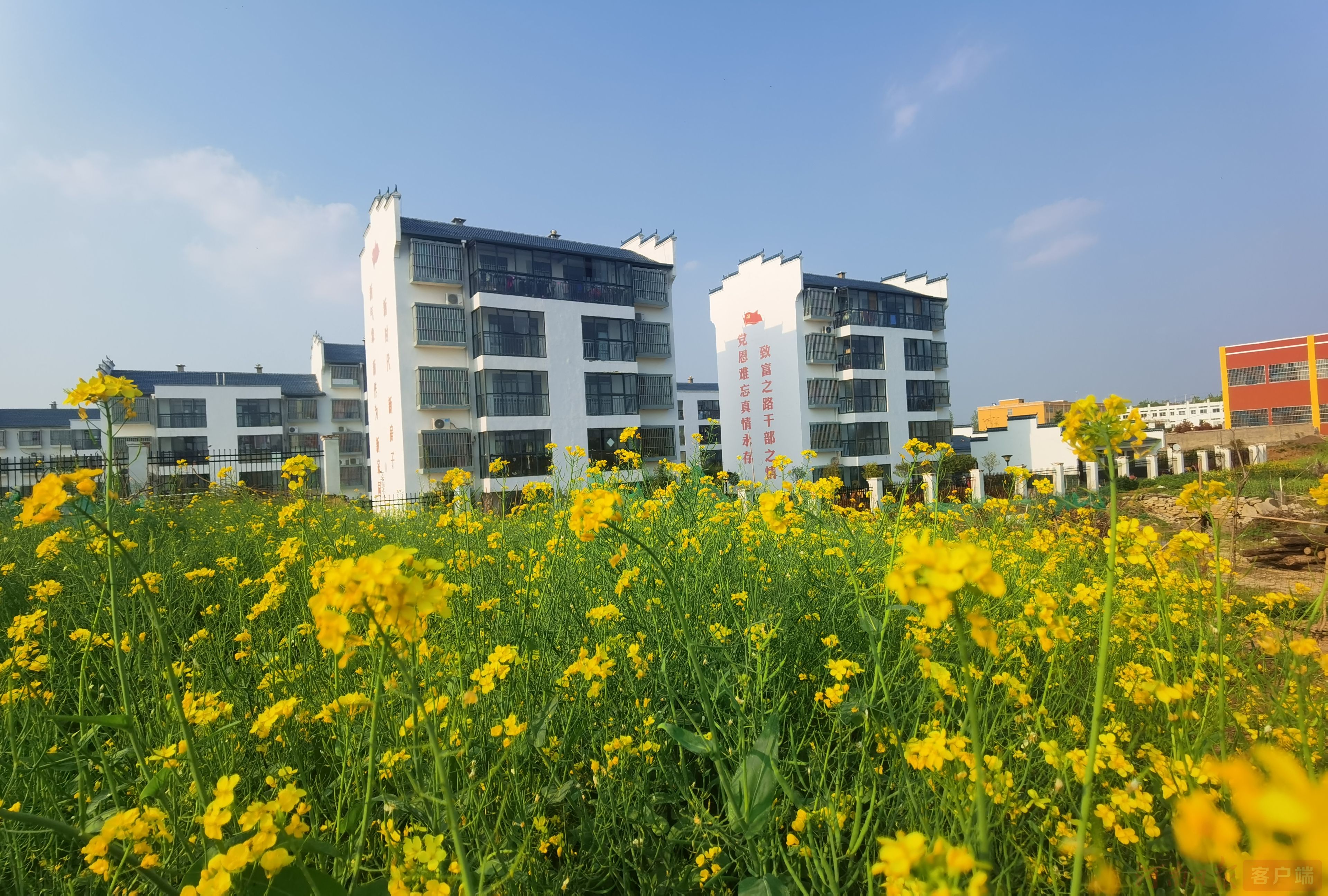 沿著高速看河南 | 春日駛向“小延安”