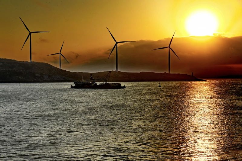 人與自然和諧共生，這就是“大國的樣子”