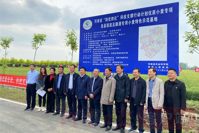 大家一起出謀劃策，河南要構(gòu)建小麥產(chǎn)業(yè)高質(zhì)量發(fā)展路線圖