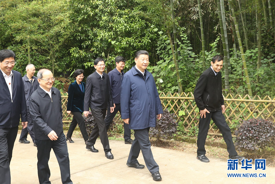 “加油、努力，再長征！”——習(xí)近平總書記考察廣西紀(jì)實