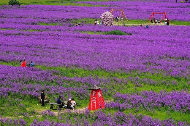 “五一”小長假駐馬店市文化旅游市場安全運行 實現(xiàn)旅游綜合收入21.6億元