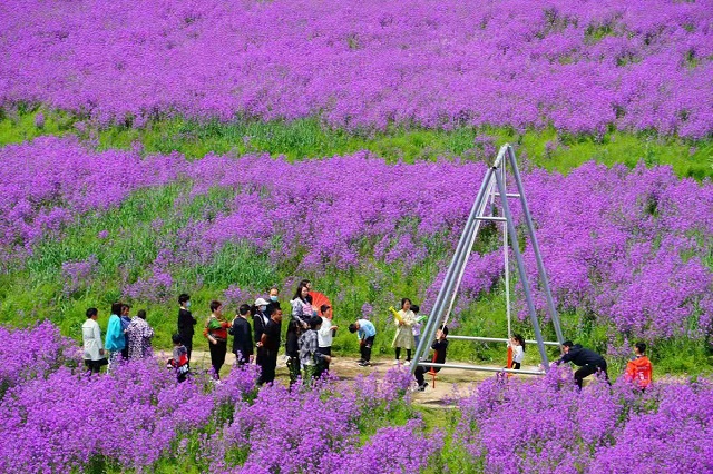 “五一”小長假駐馬店市文化旅游市場安全運行 實現(xiàn)旅游綜合收入21.6億元