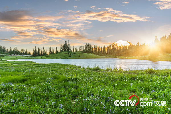 立夏！聽，萬物至此皆長大
